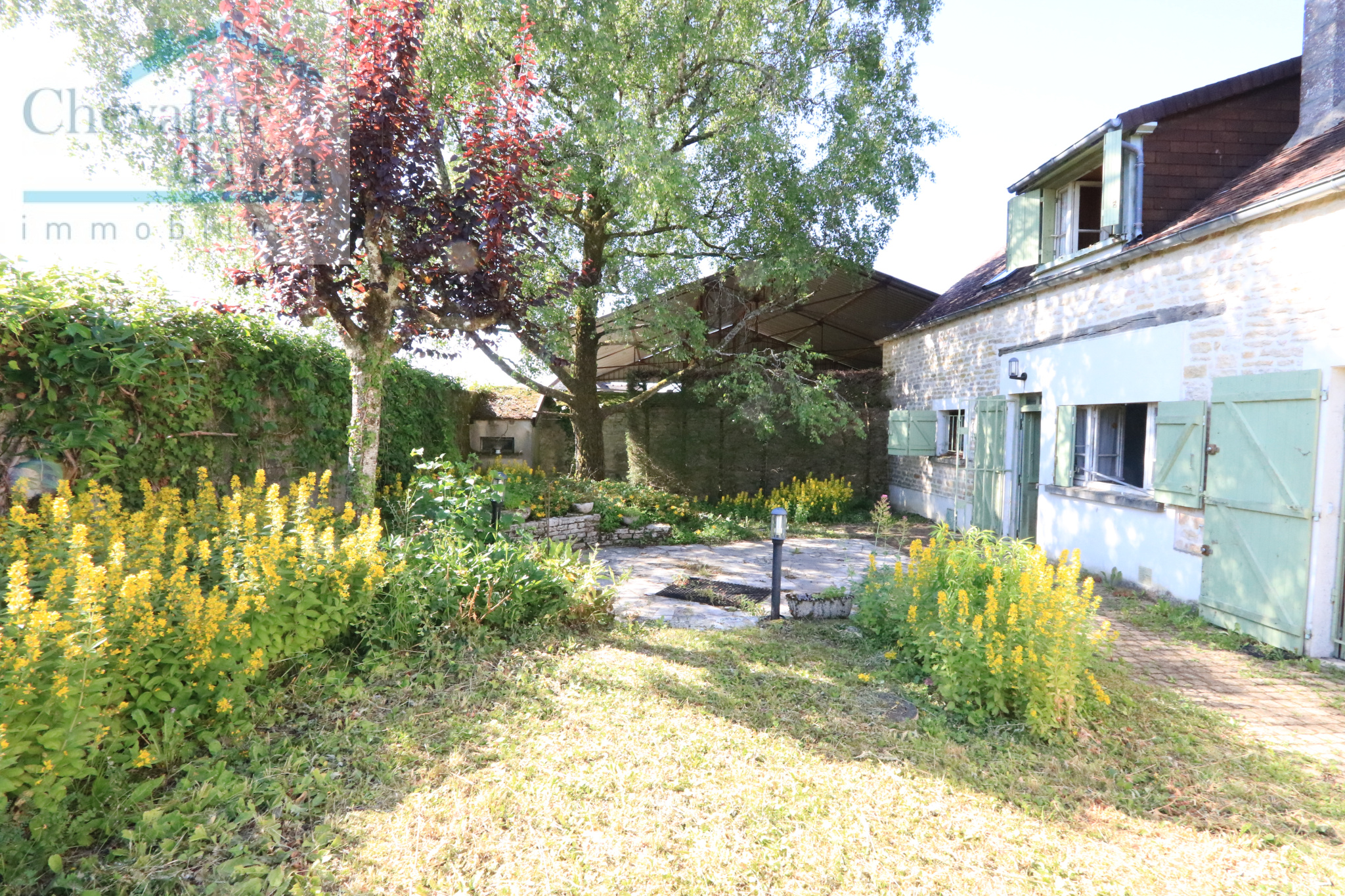 Photo 3